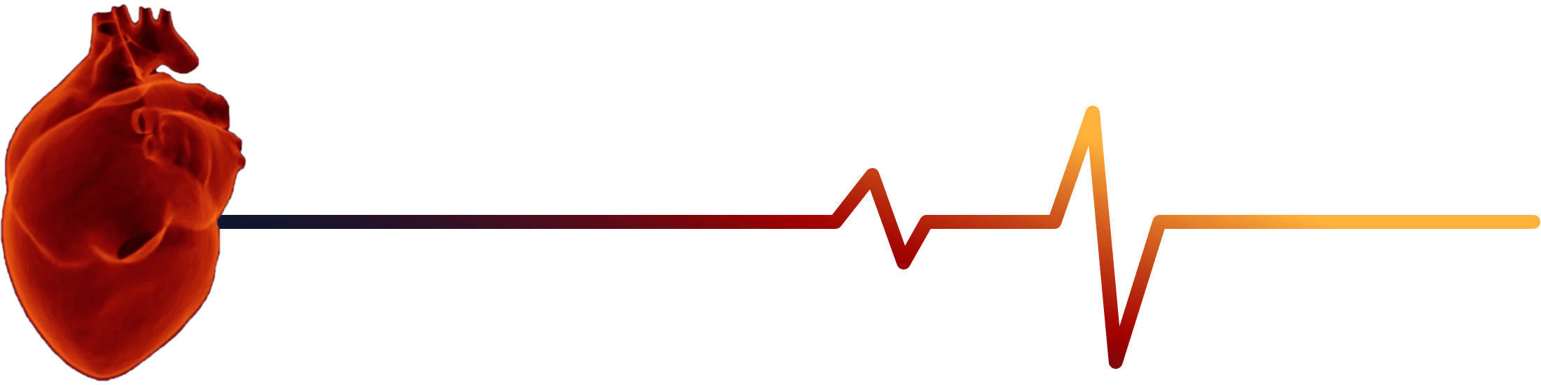 hjertediagnostik-logo-hvid