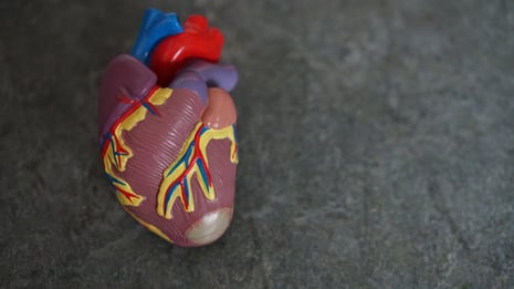 Medicinsk hjerte